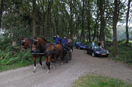 1_Utrechtse heuvelrug6